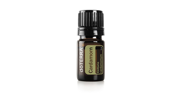 Кардамон (Cardamom)