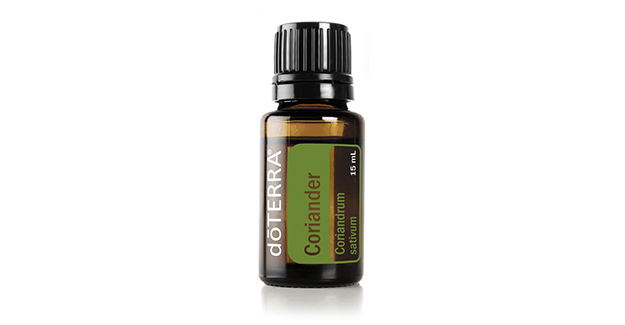 Кориандр (Coriander)