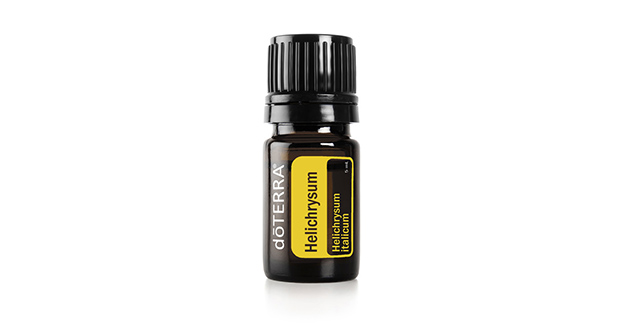 Гелихризум (Helichrysum)