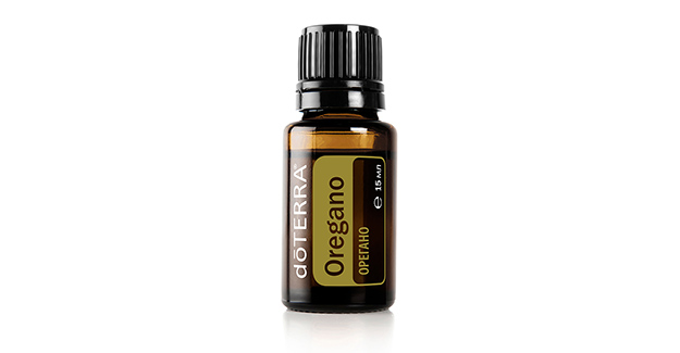 Орегано (Oregano)