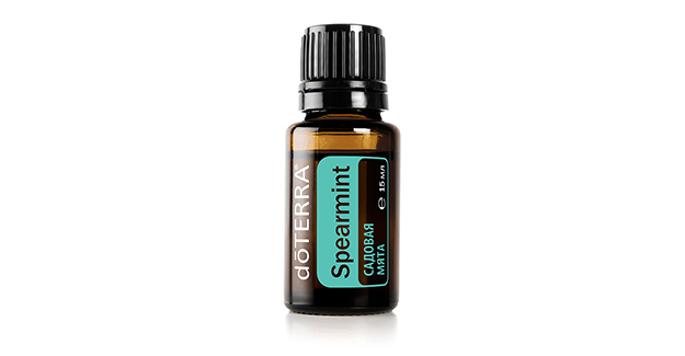 Мята кудрявая (Spearmint)